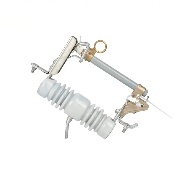 1.10kV 100A Drop Out Fuse Cutout 10kV 100A Drop-Out Fuse Cutout